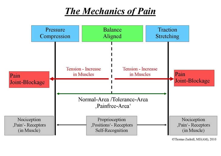 mechanics of pain diagram
